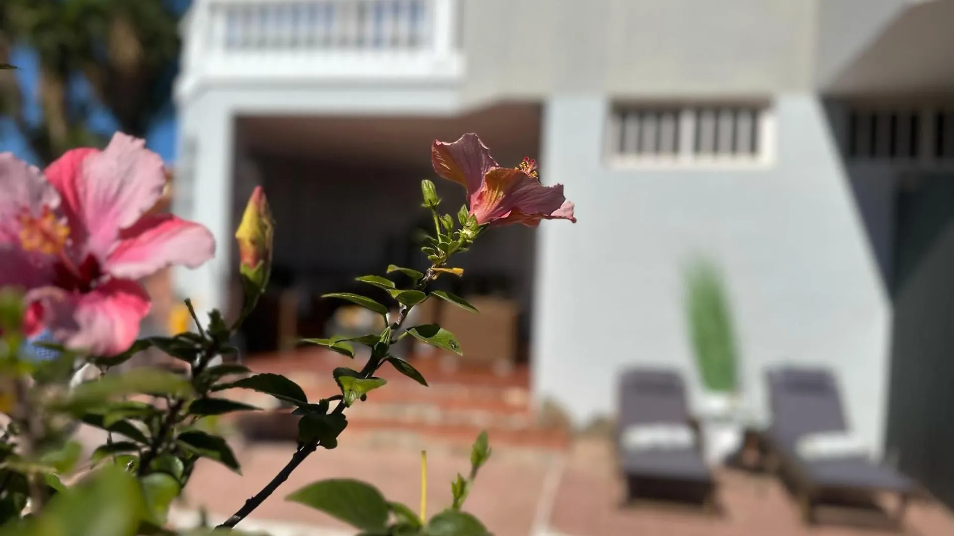Eden'S Retreat Apartment Arona